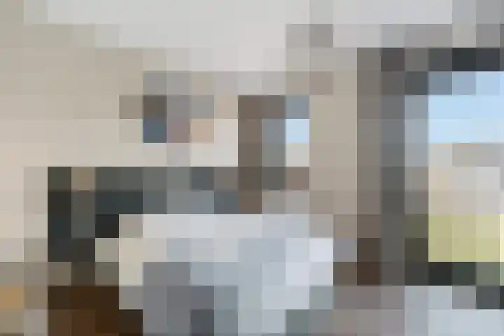 Kruidenlaan 25 Vroomshoop thumbnail 27