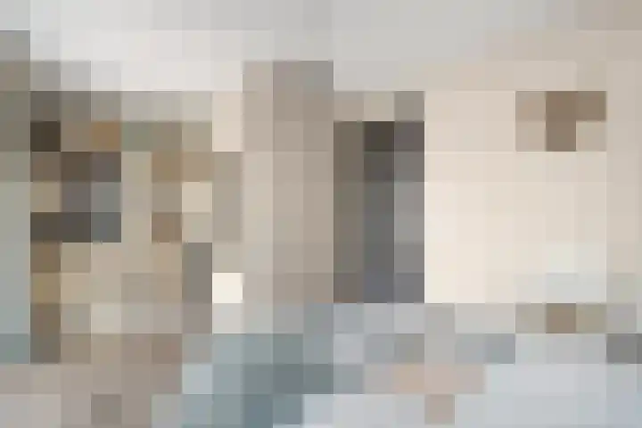 Kruidenlaan 25 Vroomshoop thumbnail 29