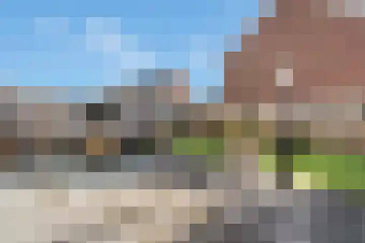 Kruidenlaan 25 Vroomshoop thumbnail 35