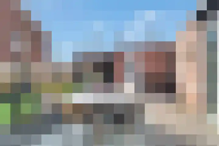 Kruidenlaan 25 Vroomshoop thumbnail 36