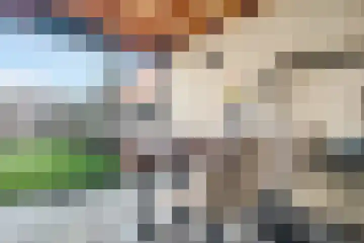 Kruidenlaan 25 Vroomshoop thumbnail 41