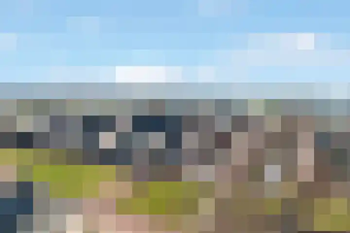 Kruidenlaan 25 Vroomshoop thumbnail 42