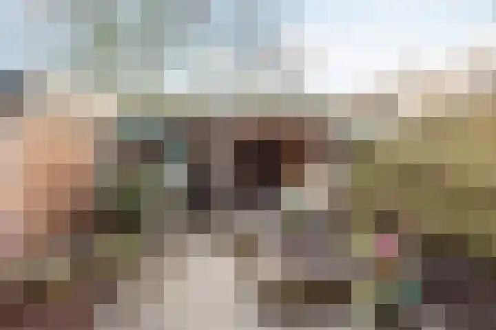 Kruidenlaan 27 Nijverdal thumbnail 14