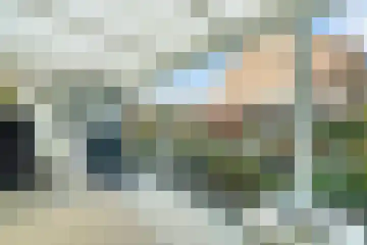 Kruidenlaan 30 Nijverdal thumbnail 12
