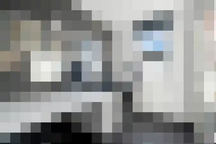 Kruidenlaan 30 Nijverdal thumbnail 21
