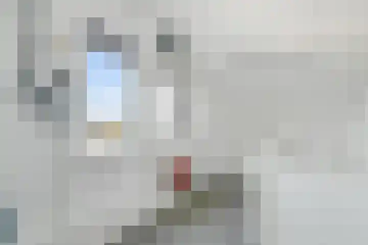 Kruidenlaan 30 Nijverdal thumbnail 24