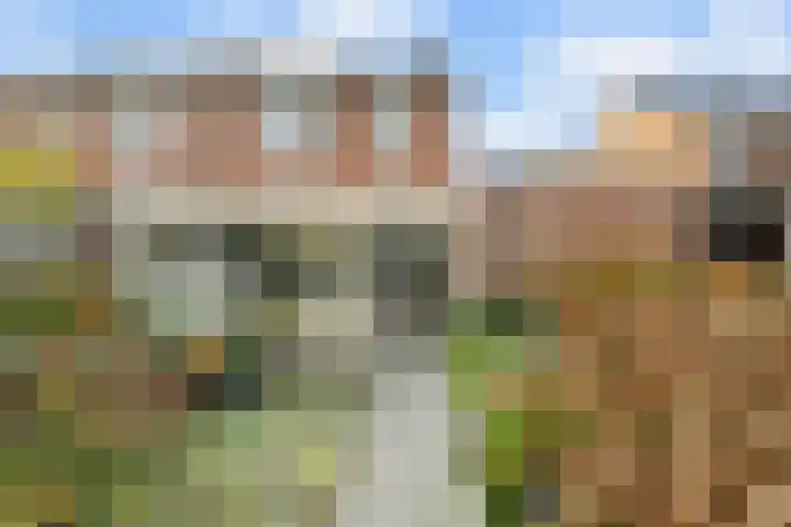 Kruidenlaan 30 Nijverdal thumbnail 27