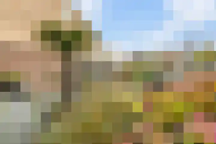 Kruidenlaan 30 Nijverdal thumbnail 29