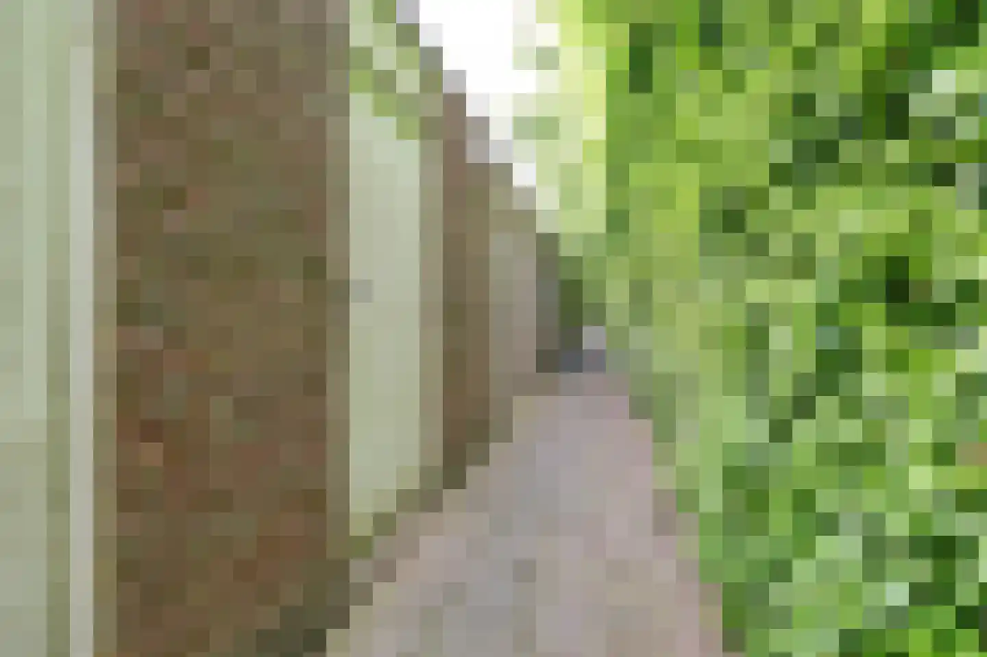 Kruidenlaan 34 Kerkdriel thumbnail 29