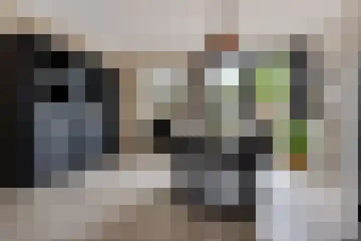 Kruidenlaan 34 Venray thumbnail 10