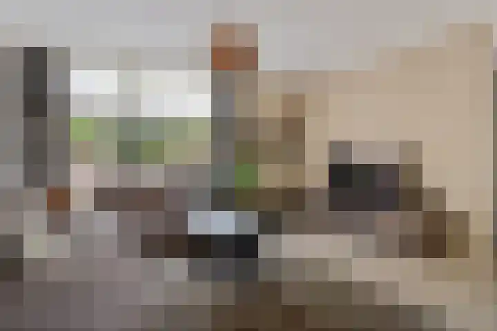 Kruidenlaan 34 Venray thumbnail 12