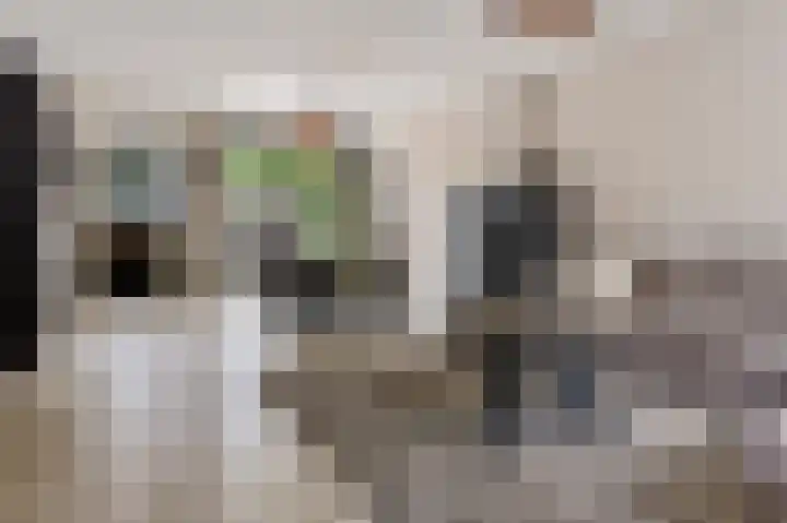 Kruidenlaan 34 Venray thumbnail 13
