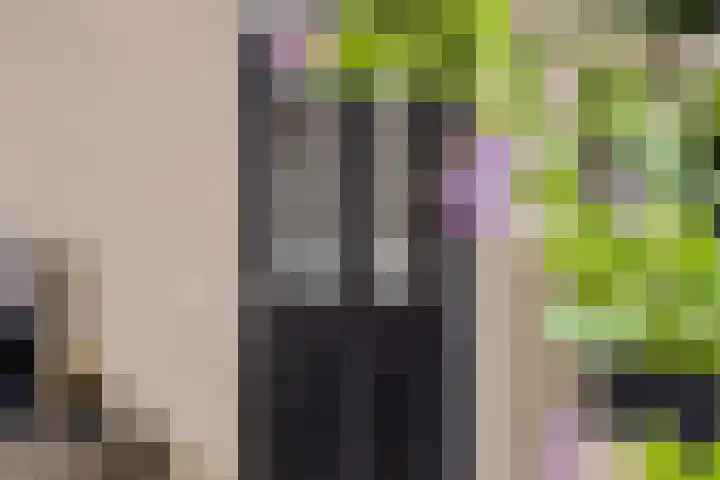 Kruidenlaan 34 Venray thumbnail 17