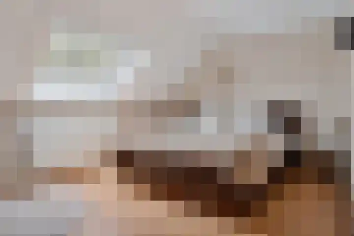 Kruidenlaan 34 Venray thumbnail 23