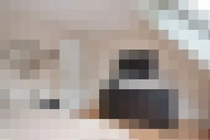 Kruidenlaan 34 Venray thumbnail 24
