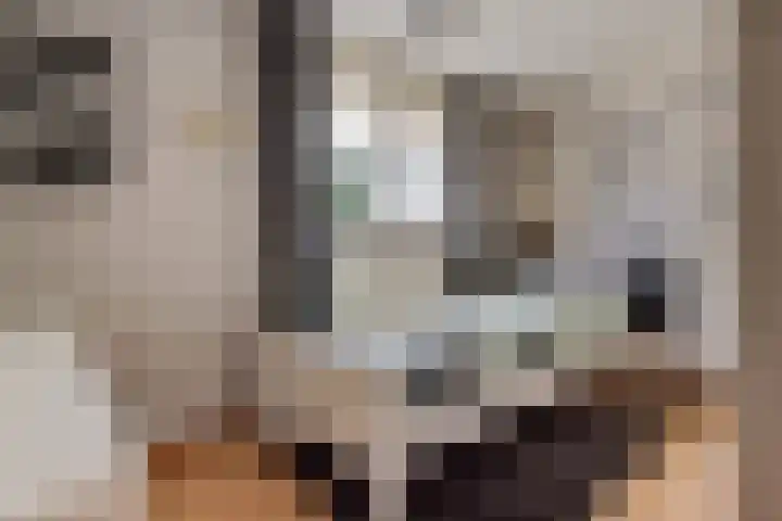 Kruidenlaan 34 Venray thumbnail 27