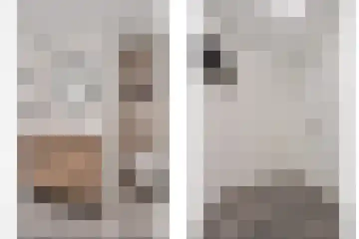 Kruidenlaan 34 Venray thumbnail 30