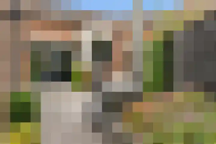 Kruidenlaan 34 Venray thumbnail 34