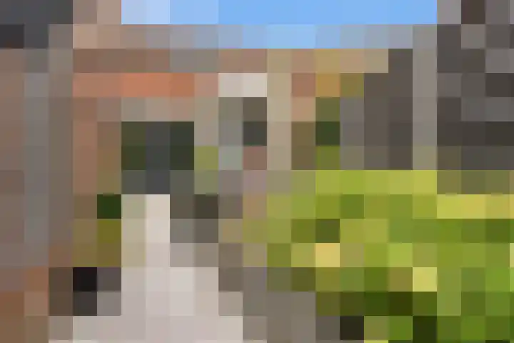 Kruidenlaan 34 Venray thumbnail 39