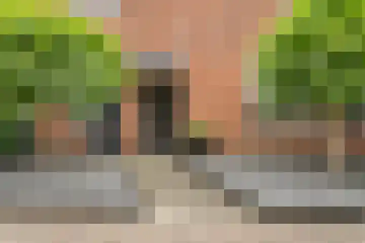 Kruidenlaan 34 Venray thumbnail 4