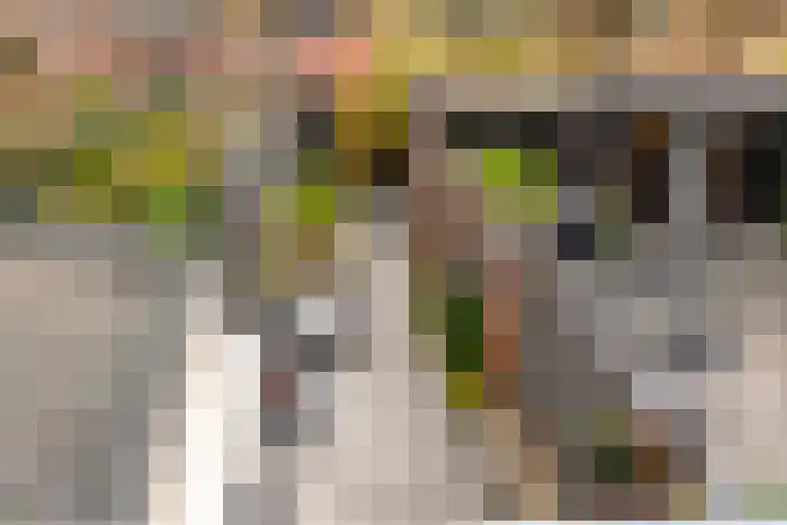 Kruidenlaan 34 Venray thumbnail 40