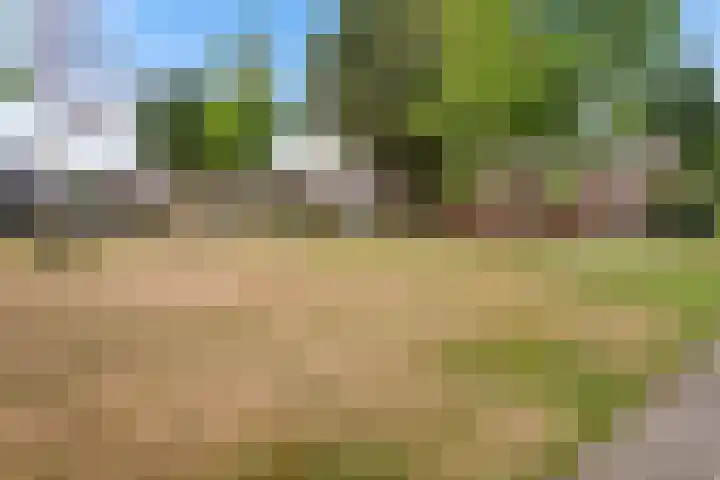Kruidenlaan 34 Venray thumbnail 43
