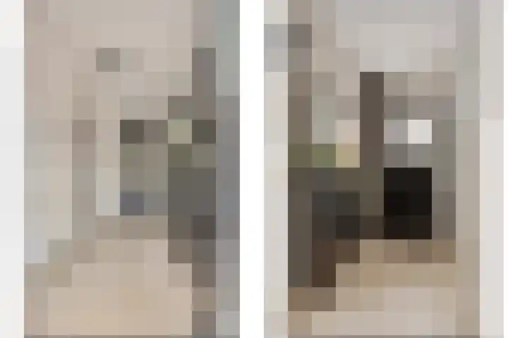 Kruidenlaan 34 Venray thumbnail 5