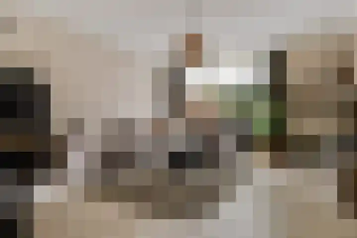 Kruidenlaan 34 Venray thumbnail 6