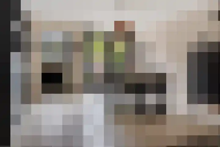 Kruidenlaan 34 Venray thumbnail 9