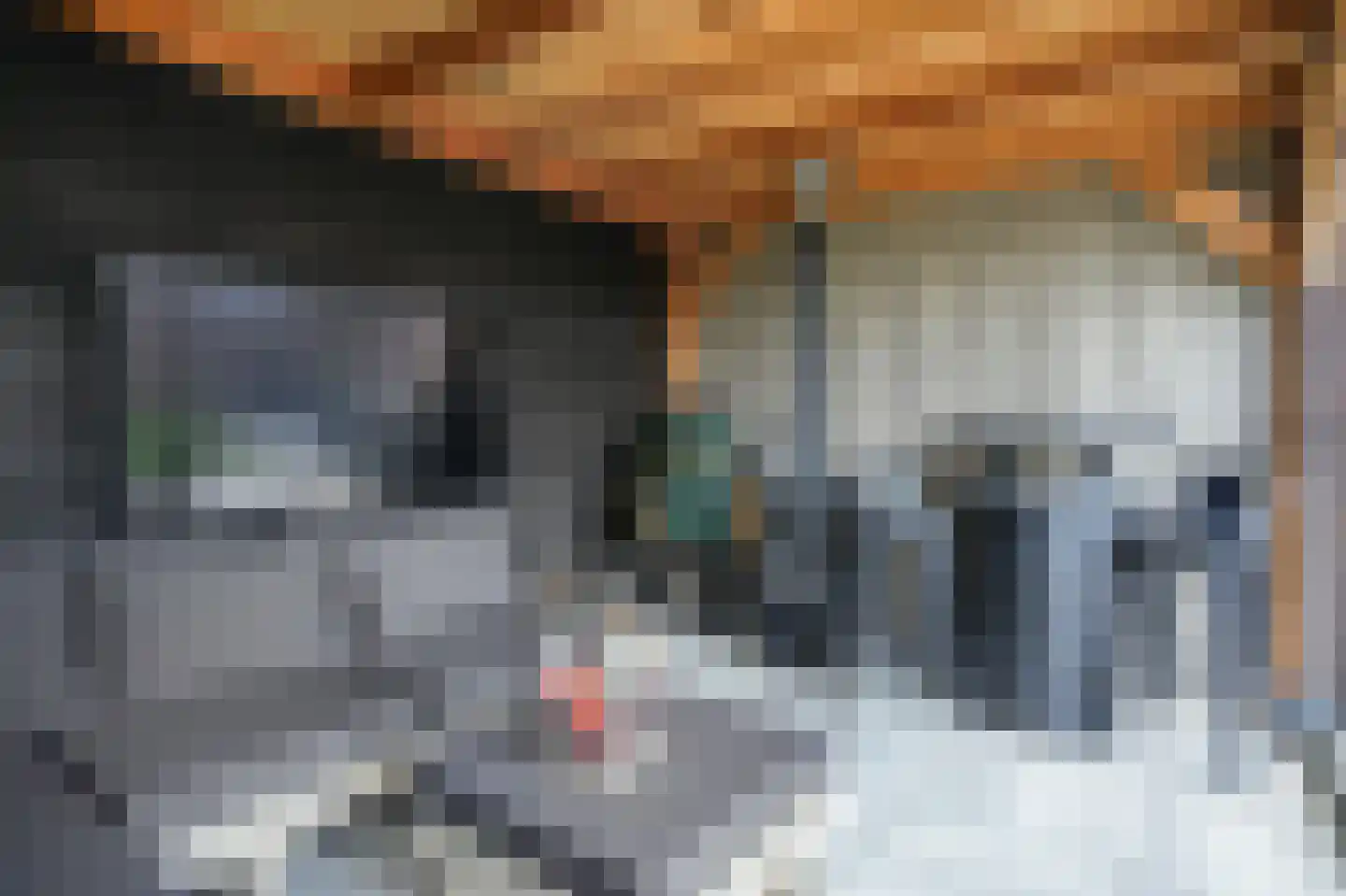 Kruidenlaan 35 Kerkdriel thumbnail 37