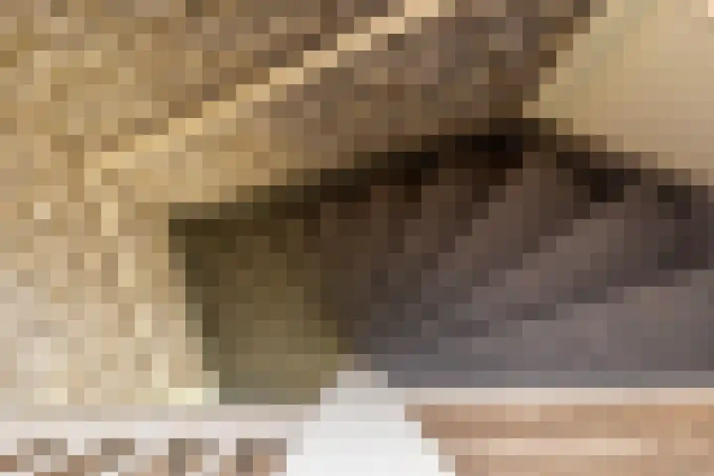 Kruidenlaan 4 Wateringen thumbnail 42