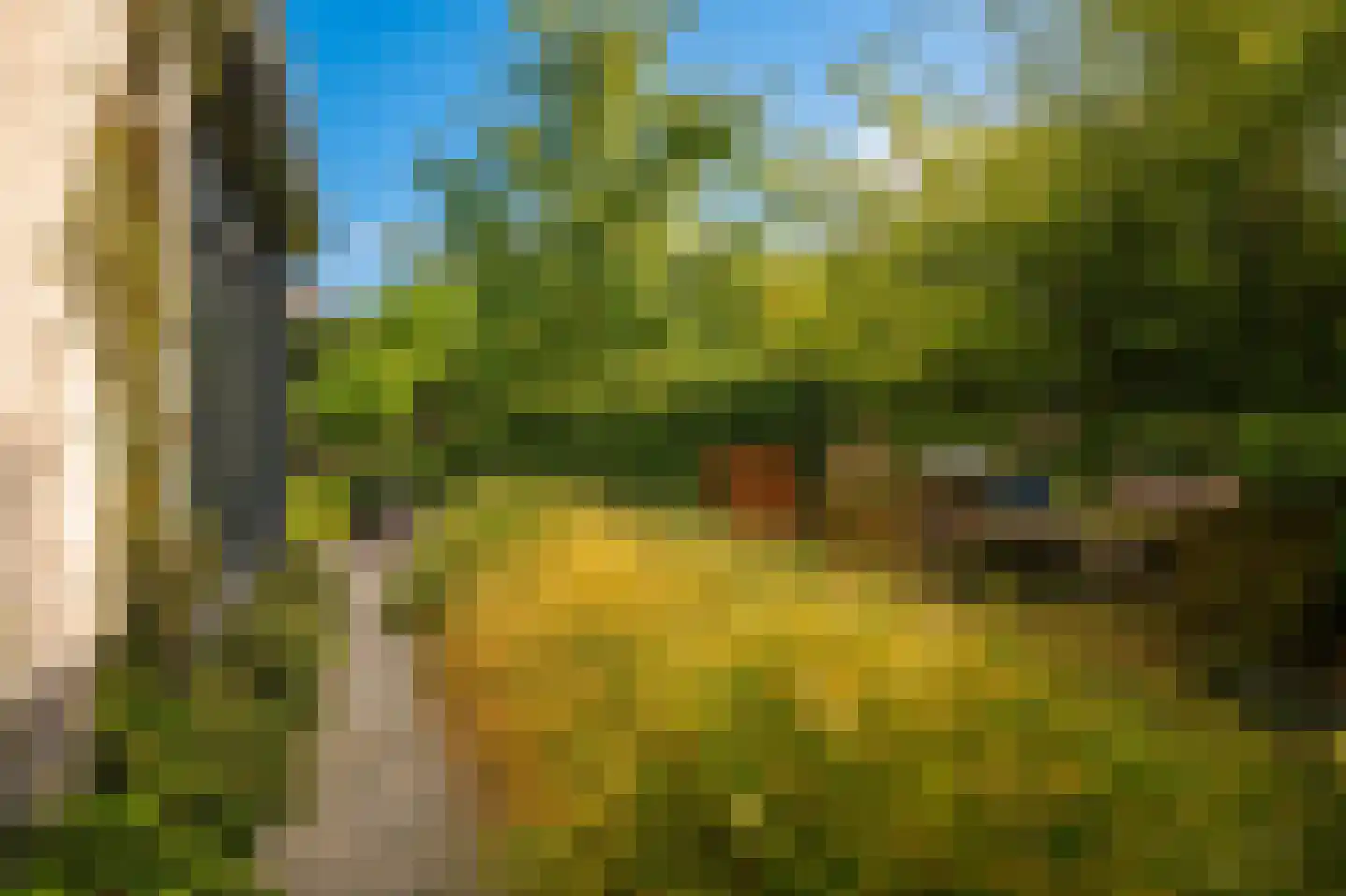 Kruidenlaan 41 Kerkdriel thumbnail 41