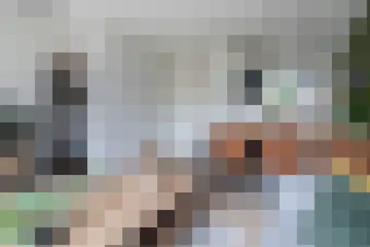 Kruidenlaan 48 Wateringen thumbnail 11