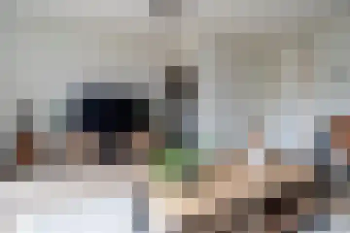 Kruidenlaan 48 Wateringen thumbnail 12