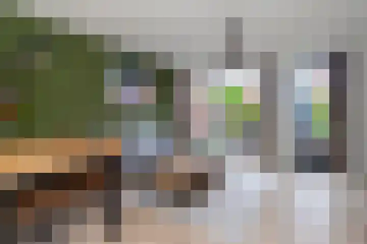 Kruidenlaan 48 Wateringen thumbnail 13
