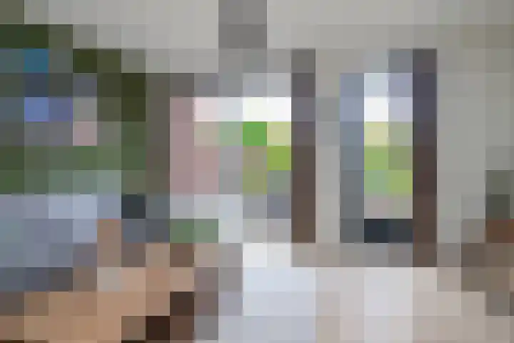 Kruidenlaan 48 Wateringen thumbnail 14