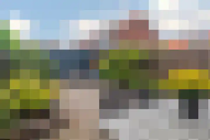 Kruidenlaan 48 Wateringen thumbnail 15