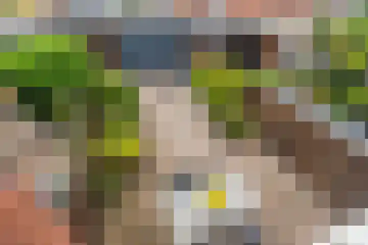 Kruidenlaan 48 Wateringen thumbnail 18