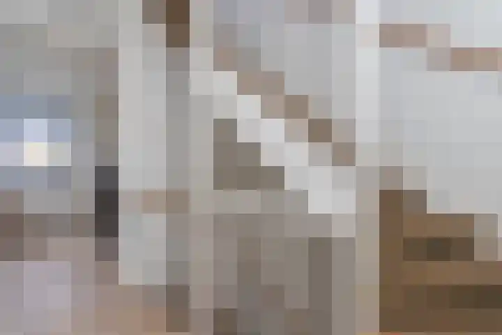 Kruidenlaan 48 Wateringen thumbnail 24