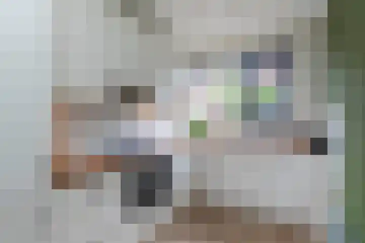 Kruidenlaan 48 Wateringen thumbnail 7