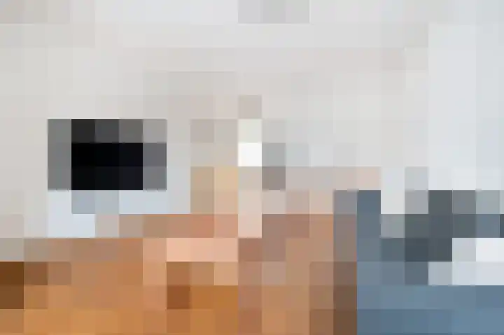Kruidenlaan 53 Sint-Oedenrode thumbnail 5