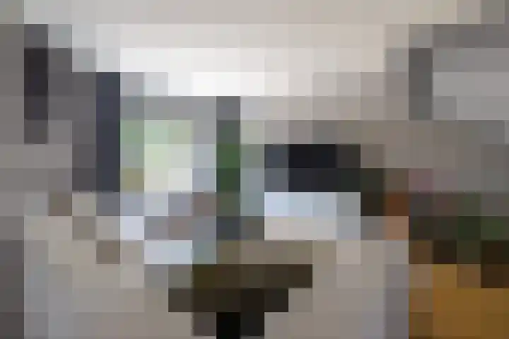 Kruidenlaan 56 Doetinchem thumbnail 4