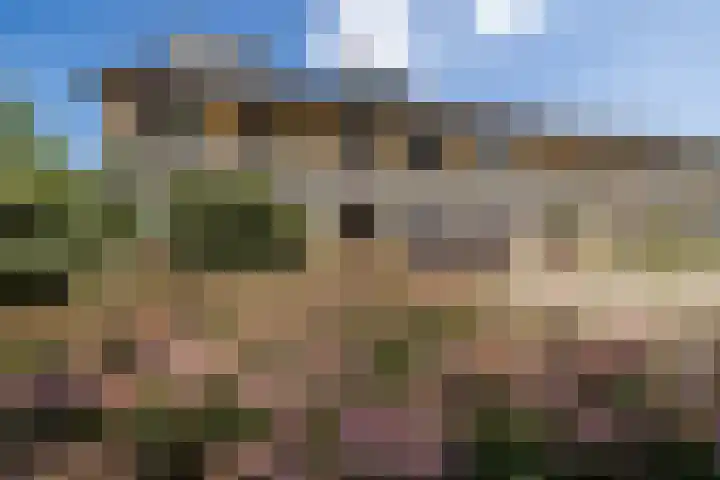 Kruidenlaan 56 Doetinchem thumbnail 46