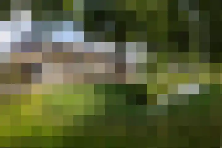 Kruidenlaan 56 Doetinchem thumbnail 47