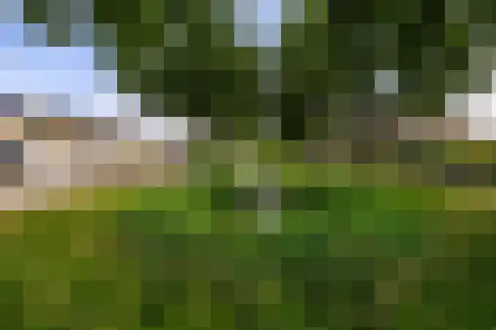 Kruidenlaan 56 Doetinchem thumbnail 48