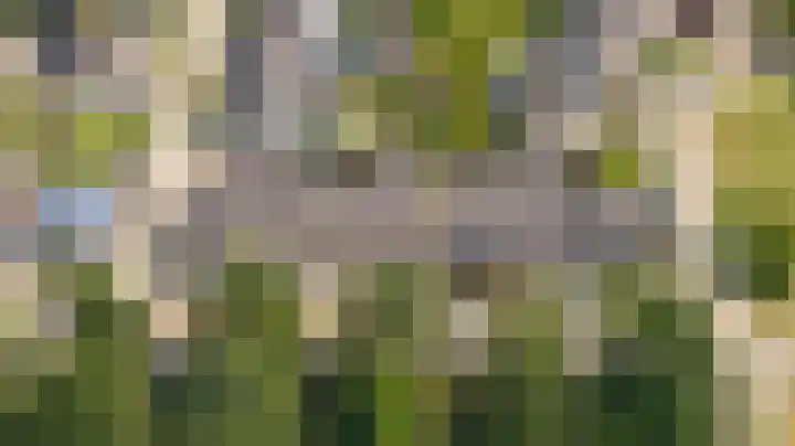 Kruidenlaan 56 Doetinchem thumbnail 50