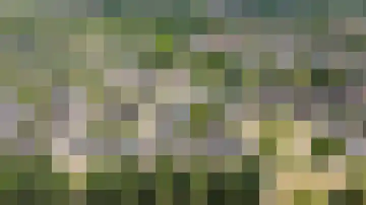 Kruidenlaan 56 Doetinchem thumbnail 51