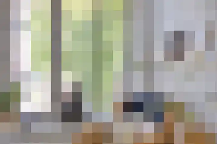 Kruidenlaan 64 Doetinchem thumbnail 11