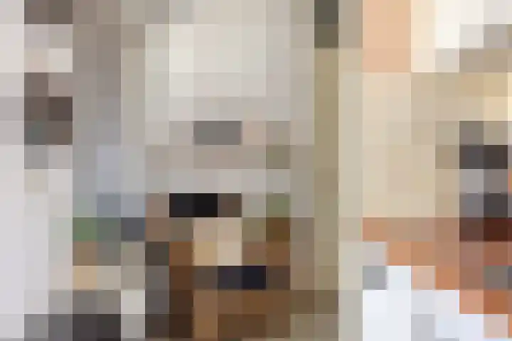 Kruidenlaan 64 Doetinchem thumbnail 13