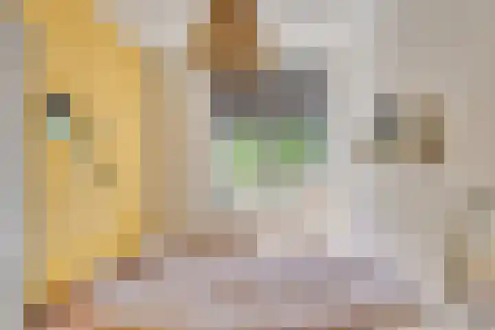 Kruidenlaan 64 Doetinchem thumbnail 22